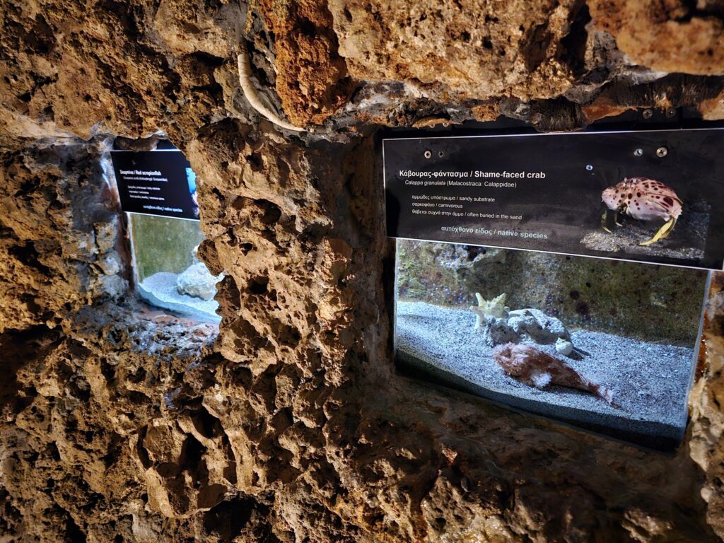 Rhodes Aquarium and marine museum