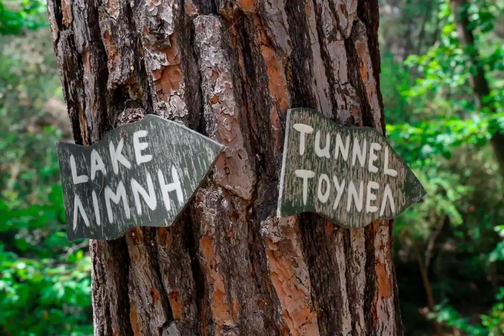 Wooden signs to the lake and tunnel at 7 Springs