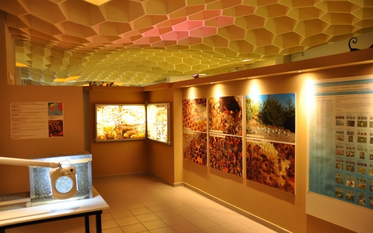 Exhibition hall of the Bee Museum in Rhodes
