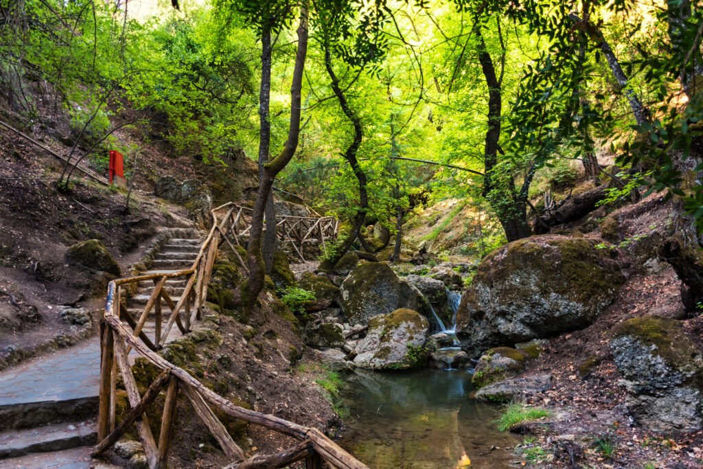 Stream and wooden bridges in the Valley of the Butterflies