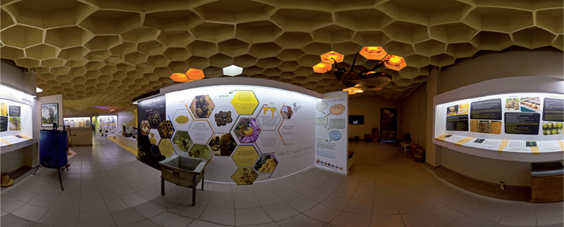 Honeycomb-themed exhibition room at the Bee Museum, Rhodes